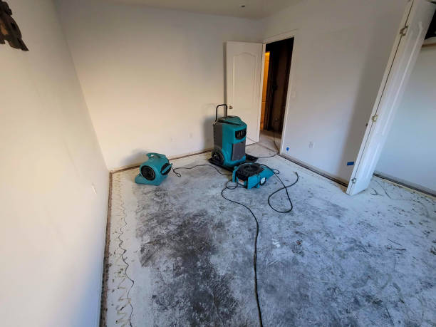 Best Emergency water damage restoration  in Anna, OH