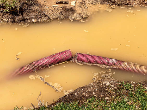 Best Emergency water damage restoration  in Anna, OH